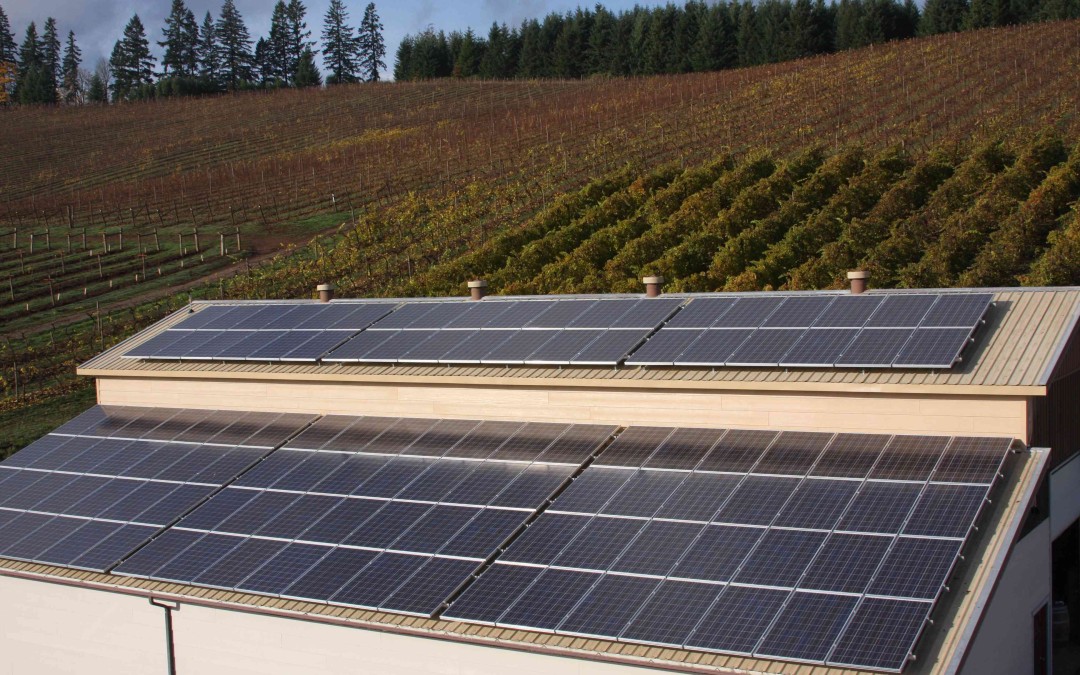 Pfeiffer Vineyards – 1st Oregon Winery to go Solar