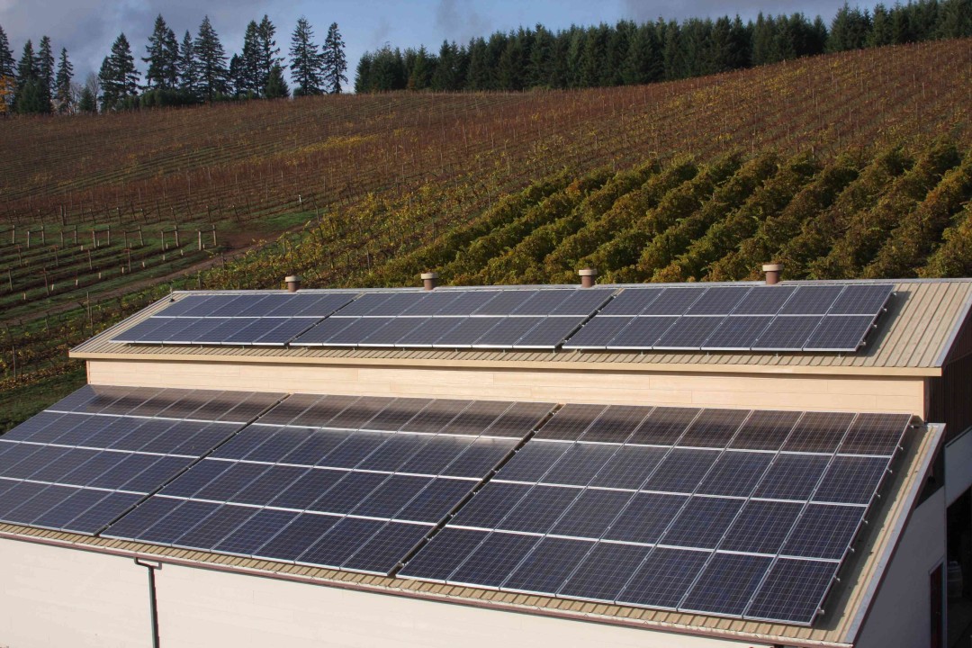 Pfeiffer Vineyards – 1st Oregon Winery to go Solar