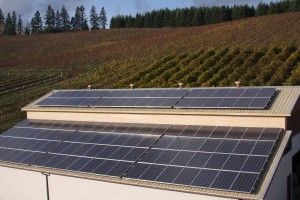 renewable energy