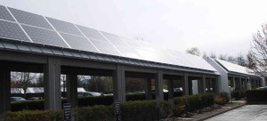Nike going green solar in oregon